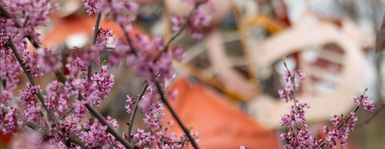 Carried by the Wind: Expressive Arts Grief Workshop